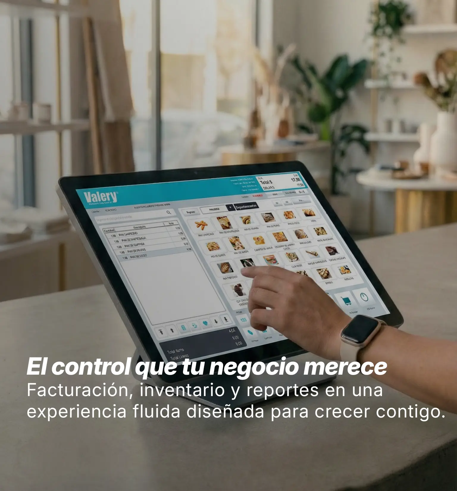 Valery Software - Software Administrativo